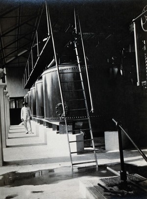 view Waterworks, Port of Spain, Trinidad: battery of mechanical 'Bell' filters in a water filter plant, with a man in a white suit standing in the background. Photograph, 1880/1910?.