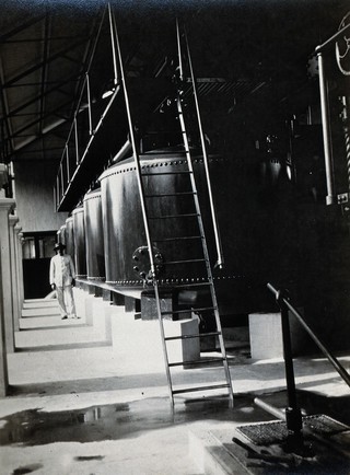 Waterworks, Port of Spain, Trinidad: battery of mechanical 'Bell' filters in a water filter plant, with a man in a white suit standing in the background. Photograph, 1880/1910?.