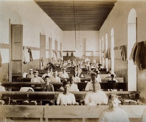 view Tobacco factory, Industrial Corner, Barcelona St., Cuba: a view of the interior, showing men seated at rows of desks, rolling cigars. Photograph, 1902.