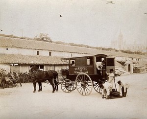 view Mobile disinfection service, Cuba: Men are shown unloading a pump and hose from a small horse-drawn van, in readiness to disinfect a building. Photograph, 1902.