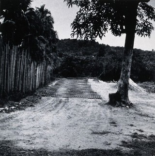 Kamaman, Trengganu, Malaya: controlled tipping trench in the process of being filled, in an area of ground used for refuse disposal. Photograph, 1948.