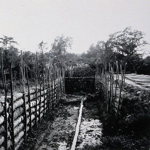 view Kamaman, Trengganu, Malaya: controlled tipping trench used for refuse disposal. Photograph, 1948.