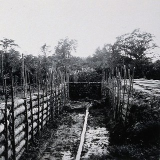 Kamaman, Trengganu, Malaya: controlled tipping trench used for refuse disposal. Photograph, 1948.