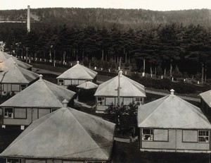 view Mont Alto Sanatorium for tuberculosis, Pennsylvania: view of the Dixon Cottages and the life-giving pines. Photograph, 1920/1940?.