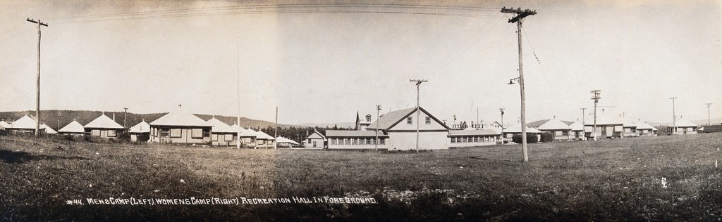 Mont Alto Sanatorium for tuberculosis, Pennsylvania: view showing the Men's Camp (left) and the Women's Camp (right), with the Recreation Hall in the foreground. Photograph, 1920/1940?.