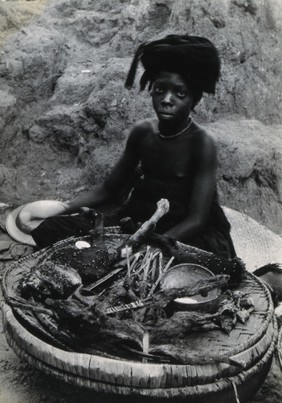 Iloffa, Nigeria: a Yoruba girl selling dried rats and mice for medicinal use, from a basket in the marketplace. Photograph by H.V. Meyerowitz, 19--.