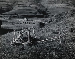 view Bhandardara, India: a cart bearing the belongings of the deceased victim of an infectious disease, placed in a remote spot: a custom aimed at preventing a disease epidemic. Photograph by J.B. Greaves, 1936.