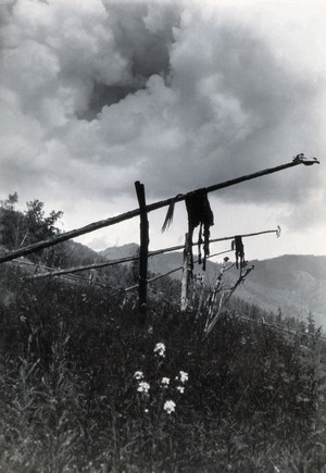 view Africa: animal skins and skulls suspended on logs and displayed in a row as part of a religious ritual. Photograph by Kurt Lubinski, 1940/1960.