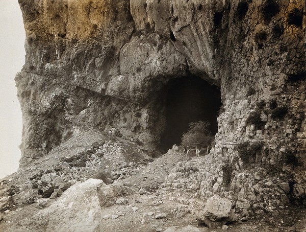 The "Galilee skull": entrance to the cave in which it was found. Photograph, 1925.