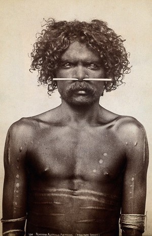 view Australia: an aboriginal man (Ned Woolnah?) with a bone through his nose. Photograph by Henry King, ca. 1890.