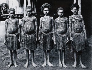 view New Guinea: five tattooed girls of the Koita people, Waima village. Photograph, 19--, after a photograph by H.M. Dauncey.