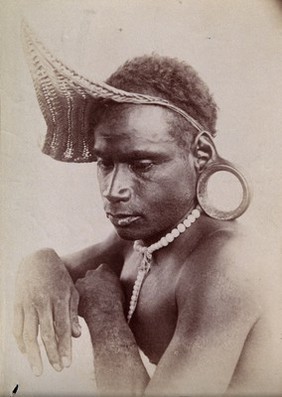 Rubiana lagoon, Solomon Islands: a man with his ears distended by large earrings. Photograph.