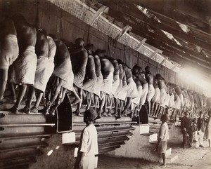 view Rangoon, Burma: prisoners working a treadmill in jail. Photograph by Watts & Skeen, 189-.