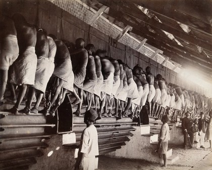 Rangoon, Burma: prisoners working a treadmill in jail. Photograph by Watts & Skeen, 189-.