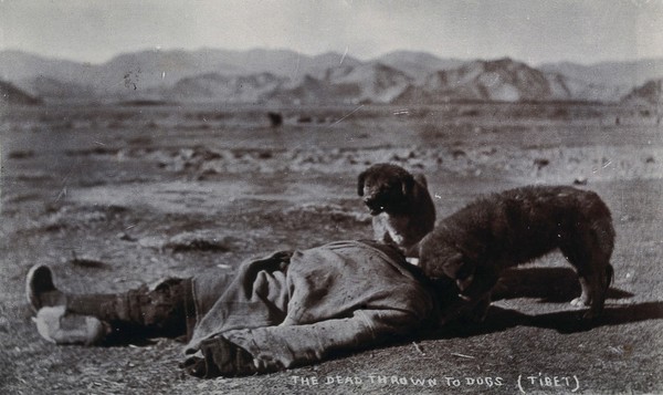 Tibet: a dead body being eaten by dogs. Photograph, 19--.