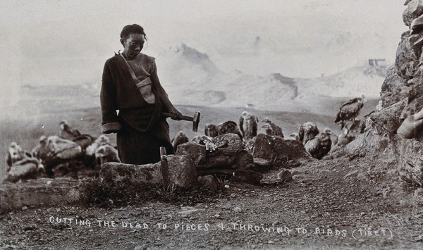 Tibet: a dead body being broken up with a hammer and knife for throwing to the birds. Photograph, 19--.