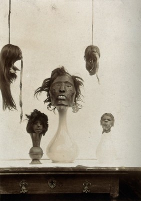 Shrunken heads displayed on vases and as hanging baskets. Photograph, ca. 1890 (?).