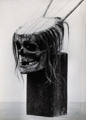 A human skull reused as a banjo. Photograph, 19--.