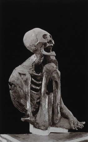 A mummy from the Chulpas of Bolivia. Photograph, 19--.