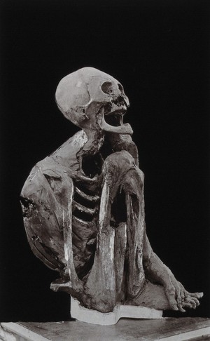 view A mummy from the Chulpas of Bolivia. Photograph, 19--.