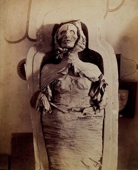 An Egyptian mummy in the Museo Nazionale, Naples. Photograph by G. Sommer, 189-.