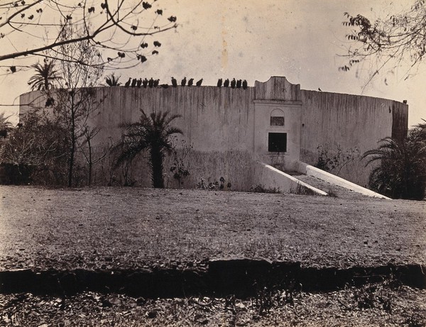 Bombay (Mumbai): a Parsee (Parsi) "Tower of silence" where the bodies of the dead are exposed to vultures. Photograph.