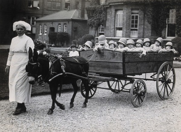 Park Royal Hospital, Willesden, London: toddlers in a cart being pulled along by a donkey led by a nurse. Photograph, 1925.