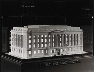 view The Wellcome Research Institution building, Euston Road, London: a model for the building designed by Septimus Warwick. Photograph.