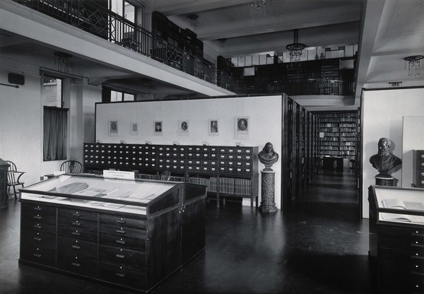 The Wellcome Building, Euston Road, London: part of the Hall of Statuary as adapted for the Library, 1949. Photograph.