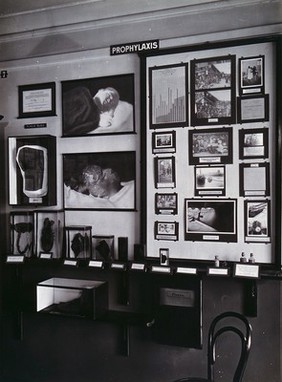 Wellcome Museum of Medical Science, Endsleigh Court, Endsleigh Gardens, London: a display on prophylaxis on the ground floor. Photograph.