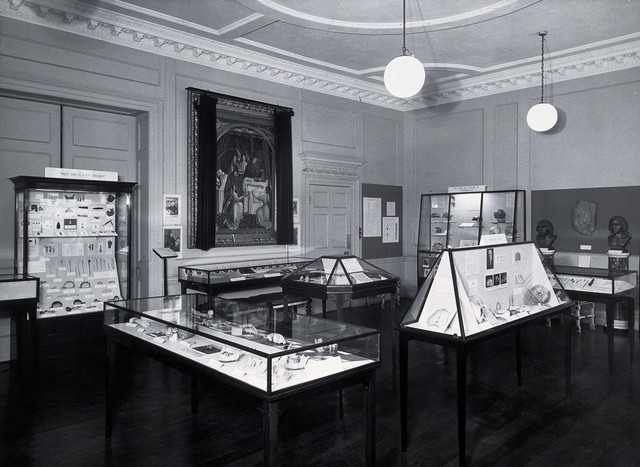 The Wellcome Historical Medical Museum, 28 Portman Square, London: an exhibition on prehistoric medicine opened in 1951. Photograph.