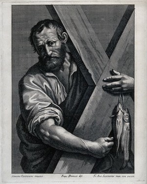 view Saint Andrew, embracing his cross and holding two fish. Line engraving by G.A. Lorenzini [Fra Antonio] after F. Petrucci after S. Cantarini.