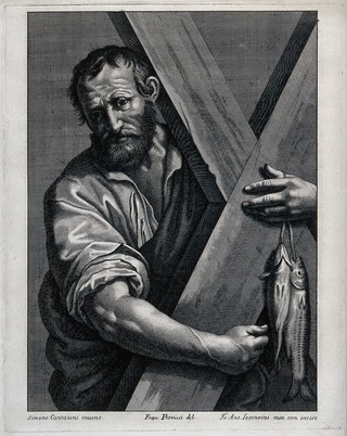 Saint Andrew, embracing his cross and holding two fish. Line engraving by G.A. Lorenzini [Fra Antonio] after F. Petrucci after S. Cantarini.