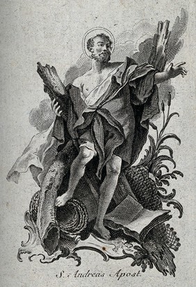 Saint Andrew. Engraving.