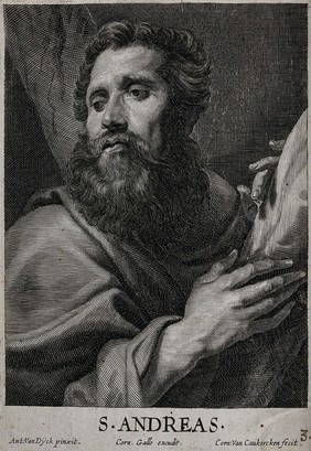 Saint Andrew. Line engraving by C. van Caukercken after Sir A. van Dyck.