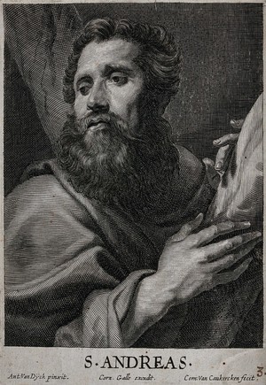 view Saint Andrew. Line engraving by C. van Caukercken after Sir A. van Dyck.