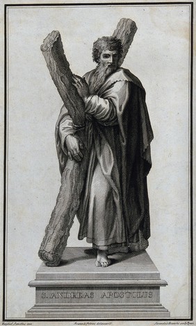 Saint Andrew. Engraving by S. Bianchi after G. Petrini after Raphael.