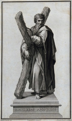 view Saint Andrew. Engraving by S. Bianchi after G. Petrini after Raphael.