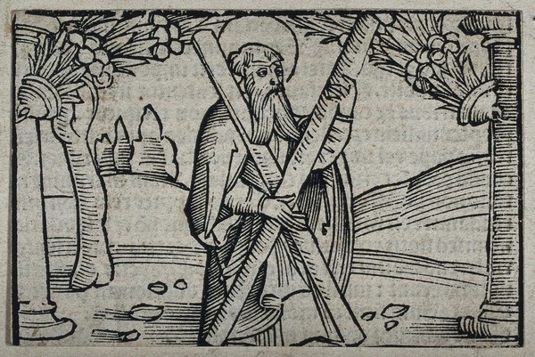 Saint Andrew. Woodcut.