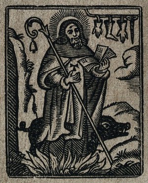 view Saint Antony Abbot. Woodcut.