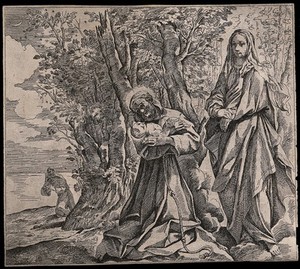 view Saint Francis of Assisi holding the infant Christ presented to him by the Virgin Mary. Etching by G.M. Viani after L. Carracci.