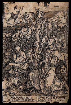 view Saint Francis of Assisi receiving the stigmata of Christ; mount Alavernia in the background. Woodcut after A. Dürer.