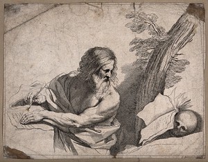 view Saint Jerome. Etching by F. Bartolozzi after G.F. Barbieri, il Guercino.