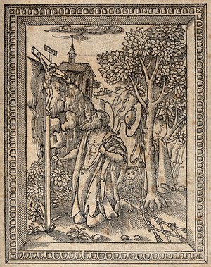 view Saint Jerome. Woodcut.