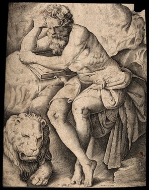 view Saint Jerome. Line engraving by D. Zenoi.