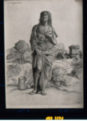 Saint John the Baptist, standing. Heliogravure (?) after stipple engraving by G. Campagnola.