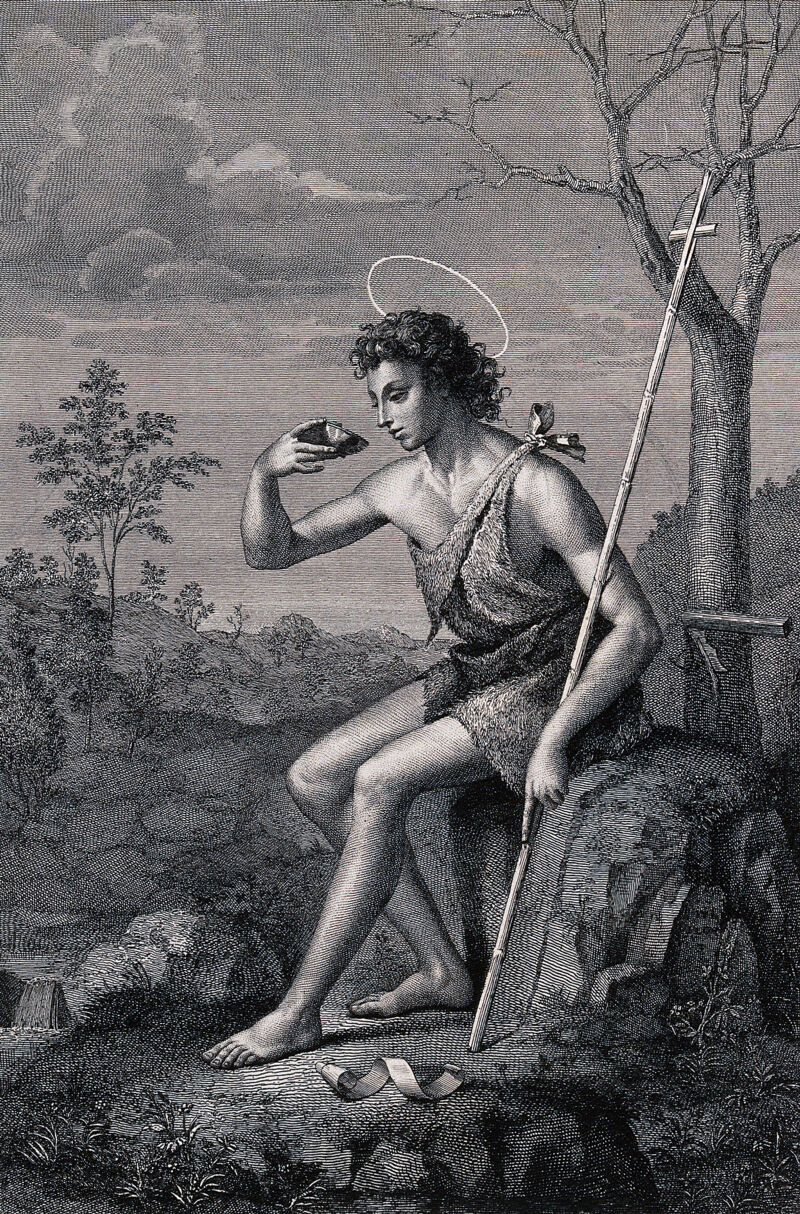 Saint John the Baptist as a youth, in wilderness. Engraving by F. Rosaspina after G. Bugiardini., by Giuliano Bugiardini