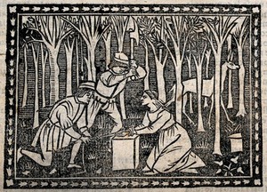 view Saint Martha (?). Woodcut.