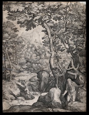 view Saint Onuphrius [Humphrey]. Engraving by C. Cort after G. Muziano, 1574.