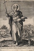 view Saint Philip. Engraving by A. Collaert.